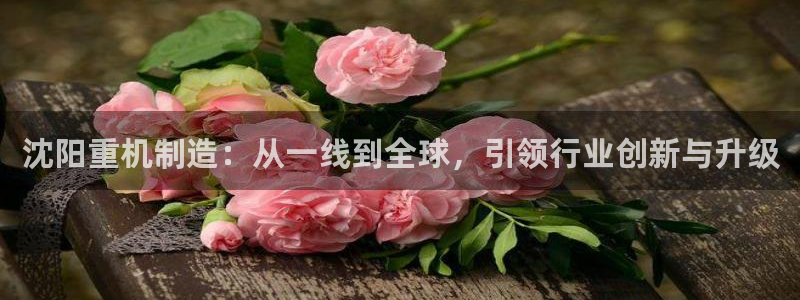 天宏娱乐星空：沈阳重机制造：从一线到全球，引领行业创新与升级