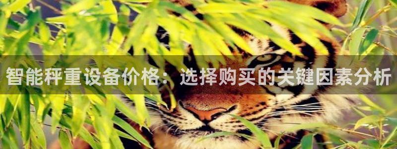 天宏娱乐创始人简介：智能秤重设备价格：选择购买的关键因素分析