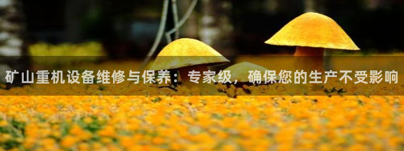 天宏娱乐官网平台注册：矿山重机设备维修与保养：专家级，确保您