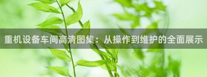 天宏娱乐 22376：重机设备车间高清图集：从操作到维护的全