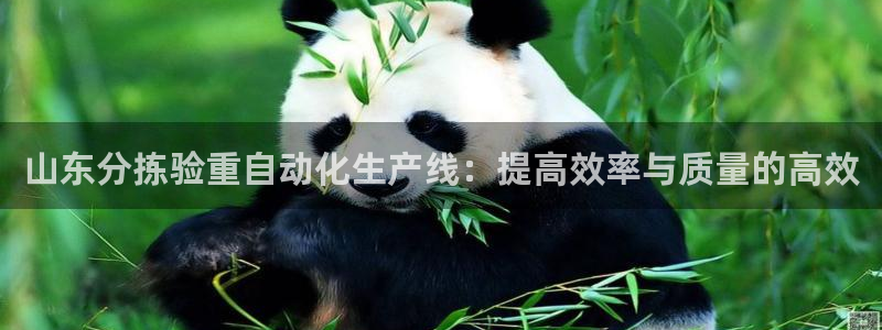 秦皇岛天宏娱乐会所电话：山东分拣验重自动化生产线：提高效率与