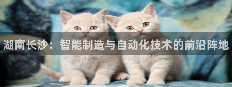 天宏娱乐 网址