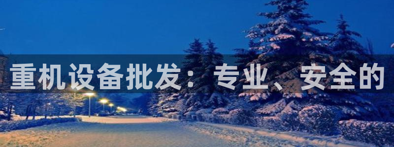 天宏娱乐总店电话：重机设备批发：专业、安全的