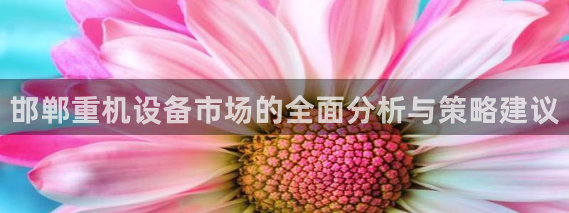 天宏娱乐是干嘛的啊