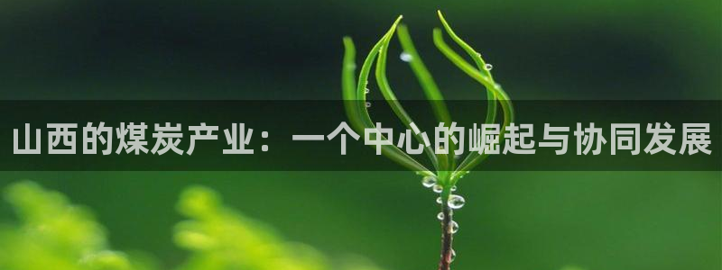 宏天娱乐俱乐部：山西的煤炭产业：一个中心的崛起与协同发展