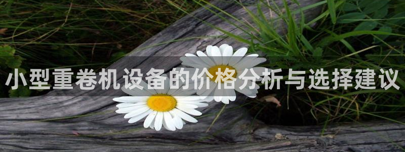 天亿娱乐宏发团队招聘：小型重卷机设备的价格分析与选择建议
