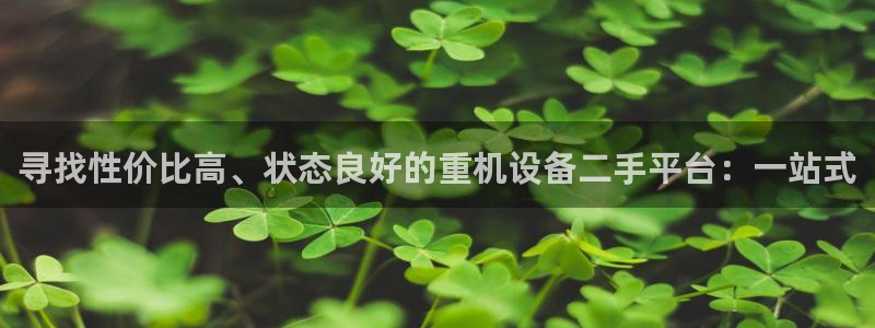 天宏娱乐是什么：寻找性价比高、状态良好的重机设备二手平台：一