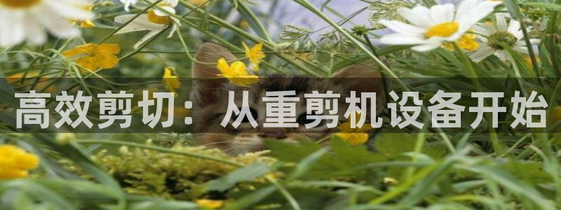 天宏娱乐官网平台：高效剪切：从重剪机设备开始